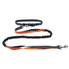 Hands-Free Walking Belt