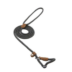 First Walk Collar & Leash Set