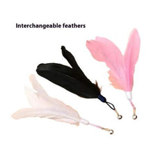 Feather Wand Teaser