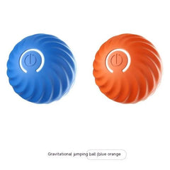 Bouncy Rubber Fetch Ball