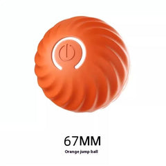 Bouncy Rubber Fetch Ball