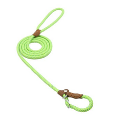 First Walk Collar & Leash Set