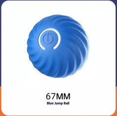 Bouncy Rubber Fetch Ball