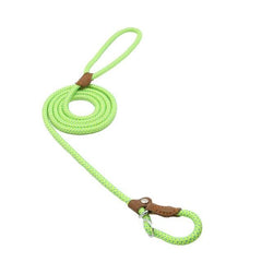 First Walk Collar & Leash Set