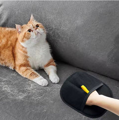 Fur Be Gone Couch Glove
