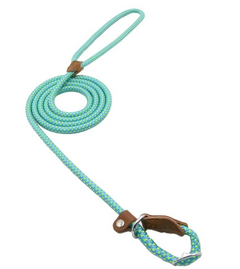 First Walk Collar & Leash Set
