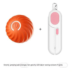 Bouncy Rubber Fetch Ball