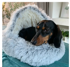 Snooze Cave 2-in-1 Pet Bed
