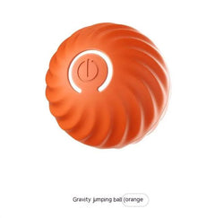 Bouncy Rubber Fetch Ball