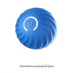 Bouncy Rubber Fetch Ball