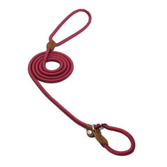 First Walk Collar & Leash Set