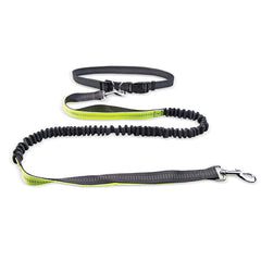 Hands-Free Walking Belt