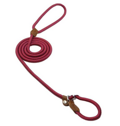 First Walk Collar & Leash Set
