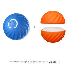 Bouncy Rubber Fetch Ball