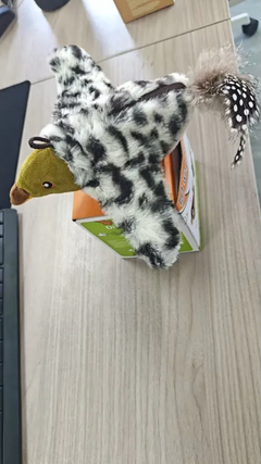 Chirpy Plush Bird Toy