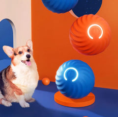 Bouncy Rubber Fetch Ball