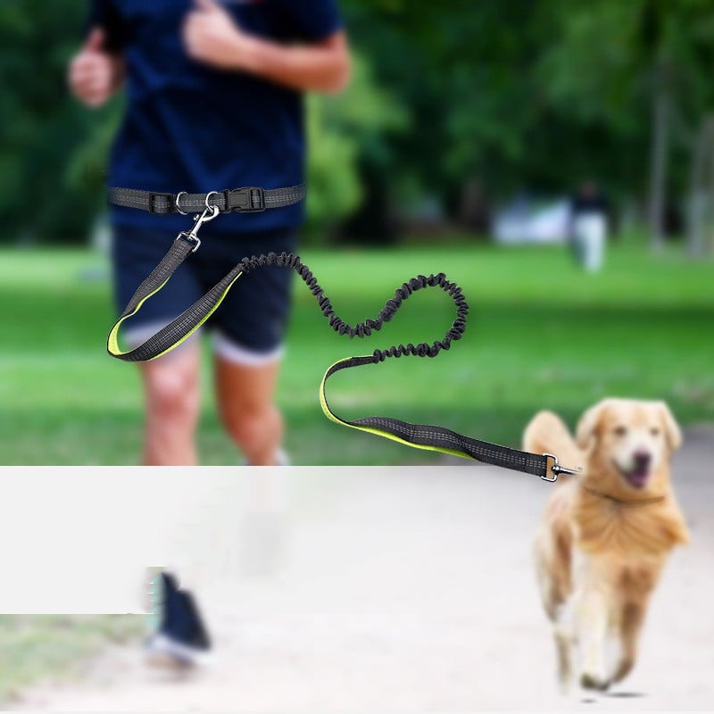 Hands-Free Walking Belt