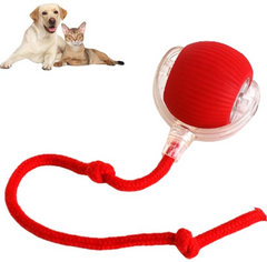Smart Chase Ball