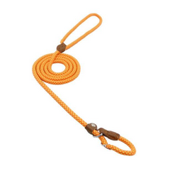 First Walk Collar & Leash Set