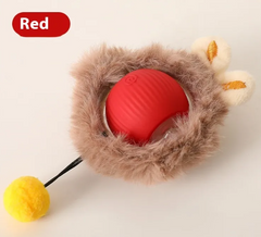 PurrPlay Rolling Ball
