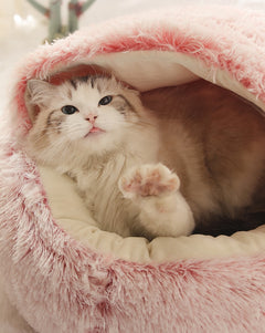 Snooze Cave 2-in-1 Pet Bed