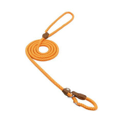 First Walk Collar & Leash Set