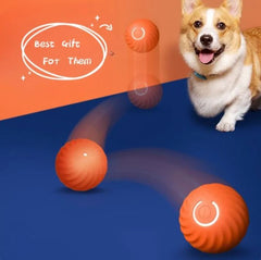 Bouncy Rubber Fetch Ball