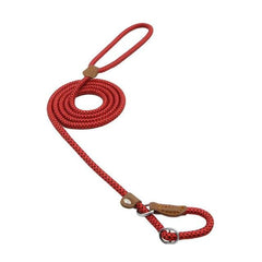 First Walk Collar & Leash Set